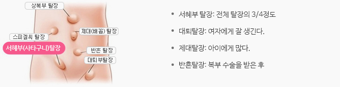 곡류 섭취의 감소, 육류 소비량의 증가, 남성의 높은 흡연율, 높은 음주율, 비만율 증가